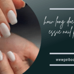 httpsgelboore.com